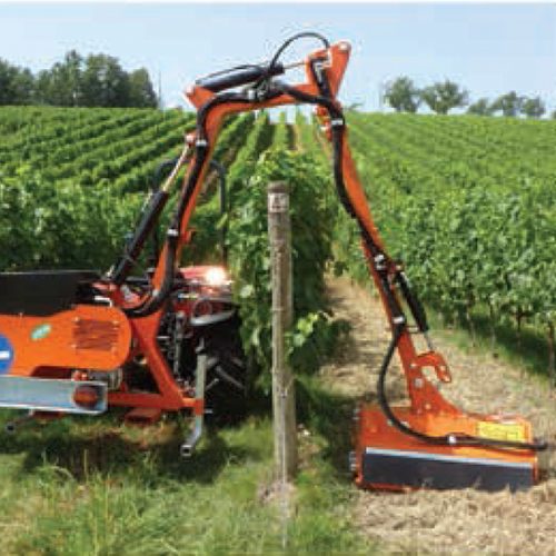 Bras débroussailleuse Rinieri BR-VIGNA